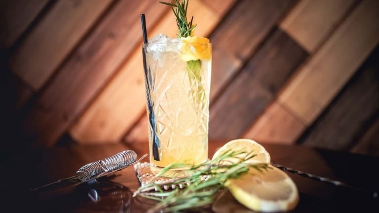 Gin and tonic with rosemary, best gin and tonic recipes, how to make gin & tonic