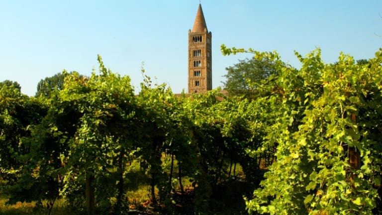 Corte Madonnina farm holidays in Ferrara, Pomposa Abbey visit