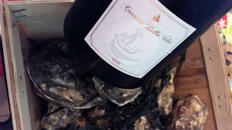 Ostriche e vino, grandi abbinamenti cibo vino, Rosé Cantina della Volta