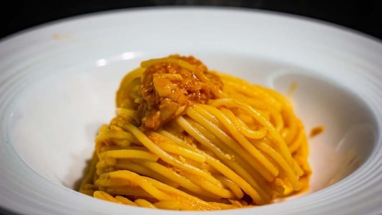 Spaghetti al tonno, ecco a voi i veri spaghetti alla Bolognese