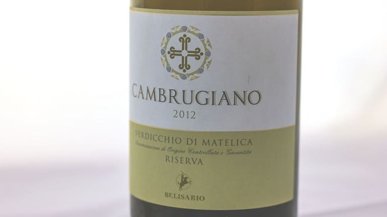 the best Italian white wines, tasting of the wines of the Le Marche region