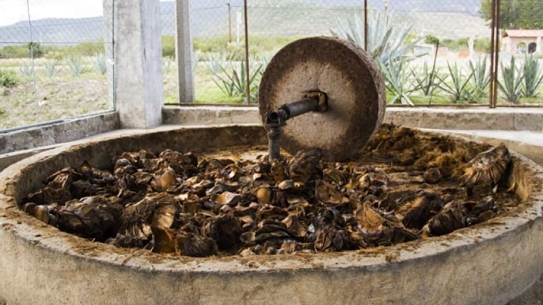 Tahona, mulini per schiacciare l'agave, come viene prodotta la Tequila