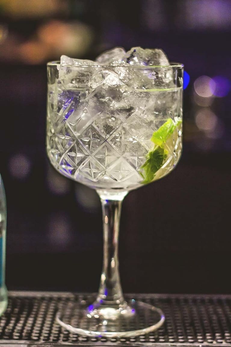 Cocktail con The Botanist gin, Gin Tonic perfetto, i migliori gin degustati