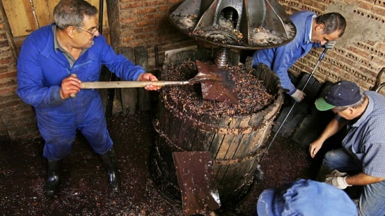 press used to crush the grapes, how wine is produced guide to wine