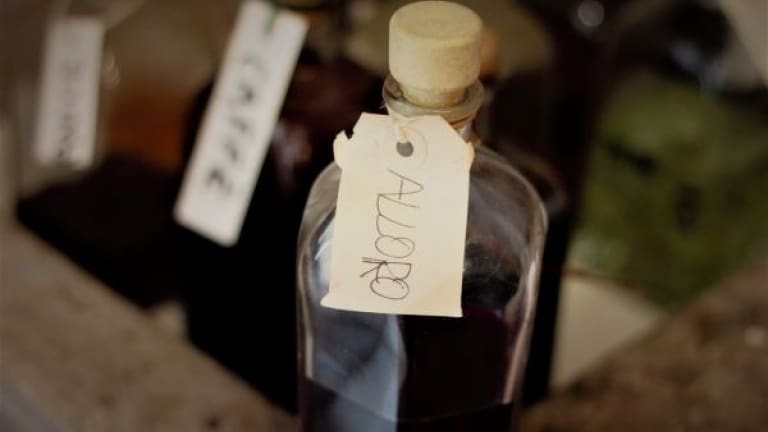 How to make the laurel berry liqueur: the perfect recipe