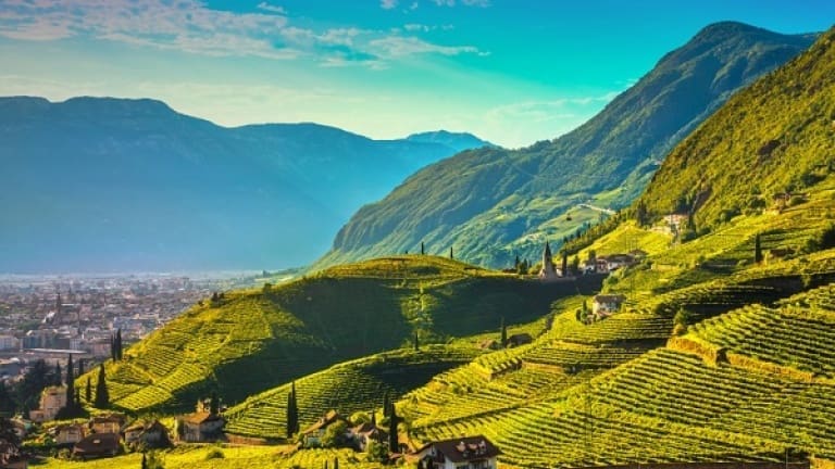 Santa Maddalena, i migliori vini rossi dell'Alto Adige, classifica vino rosso