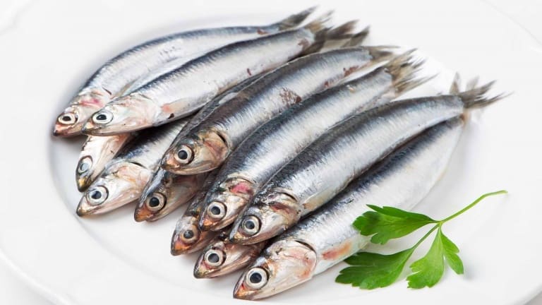 Sarde, sardine, ricette con le sardine pasta con le sarde uvetta alla siciliana