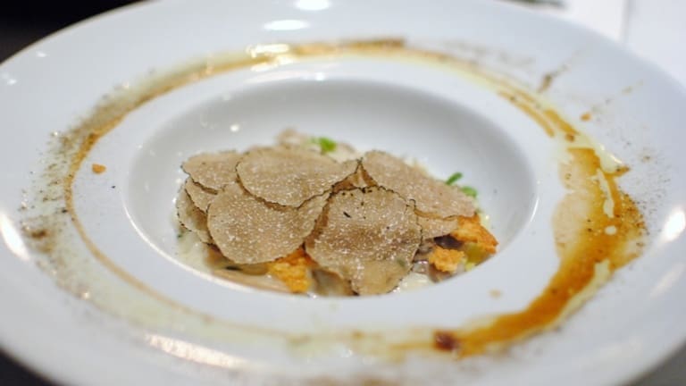 Risotto al tartufo nero con cialde di Parmigiano, risotto gourmet, primo piatto
