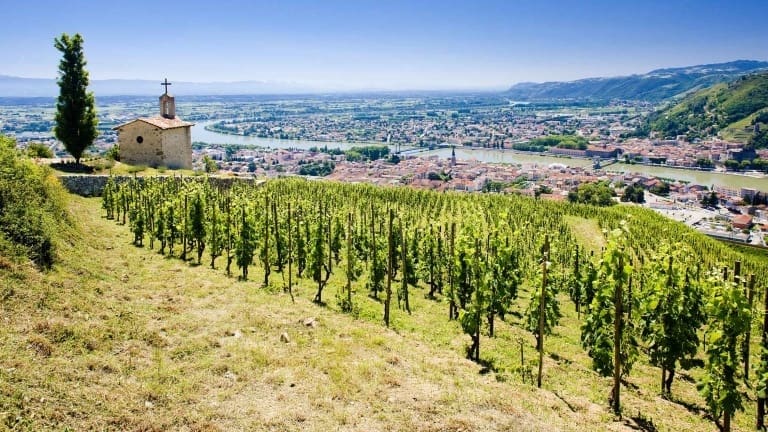 L'Hermitage, Rhone-Alpes, Train, vineyards of Syrah in the Rhone Valley red wine