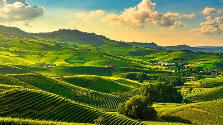 Langhe, Barolo vineyards, hills covered with vineyards, Barolo production area