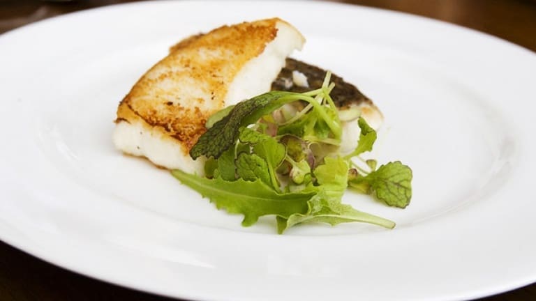 Piatto di pesce alla brace, ricetta stellata Michelin, cucina raffinata