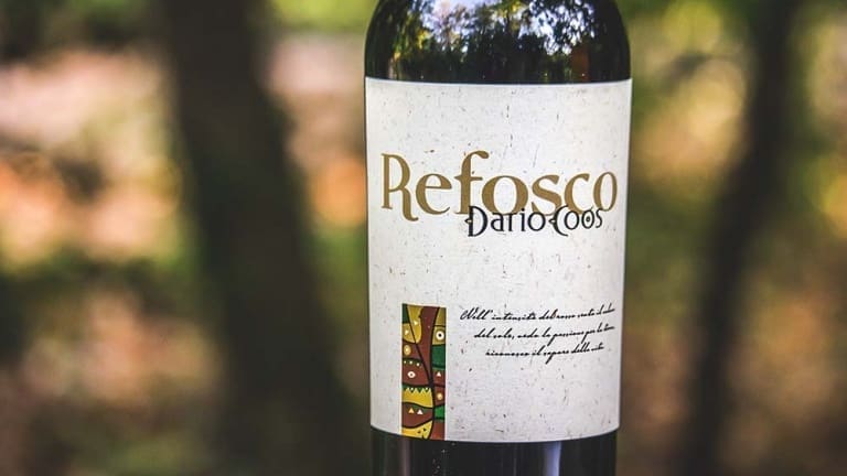 Dario Coos Refosco dal Peduncolo Rosso 2014 tasting notes: the best red apéritif
