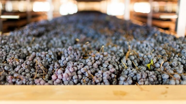 Ripasso della Valpolicella vino, vitigni, storia, caratteristiche organolettiche