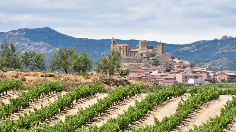 San Vicente de la Sonsierra, La Rioja, vineyards of Tempranillo red Spanish wine