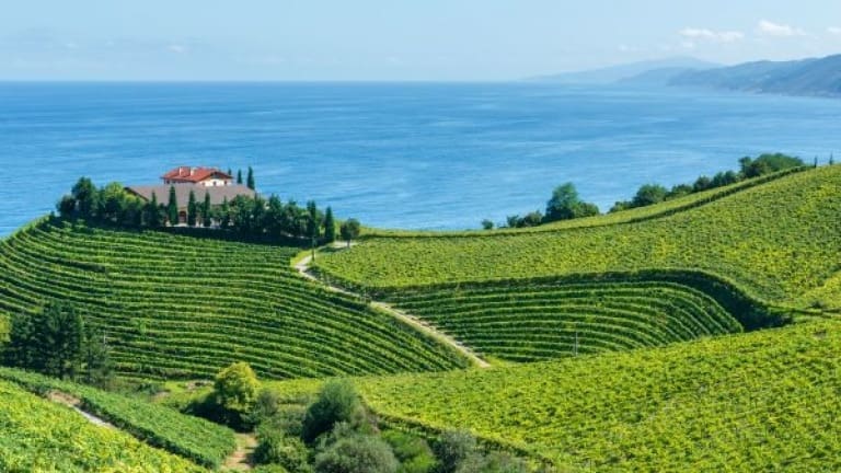 Vigneti di Txakoli sul mare, guida ai migliori vini dei paesi baschi