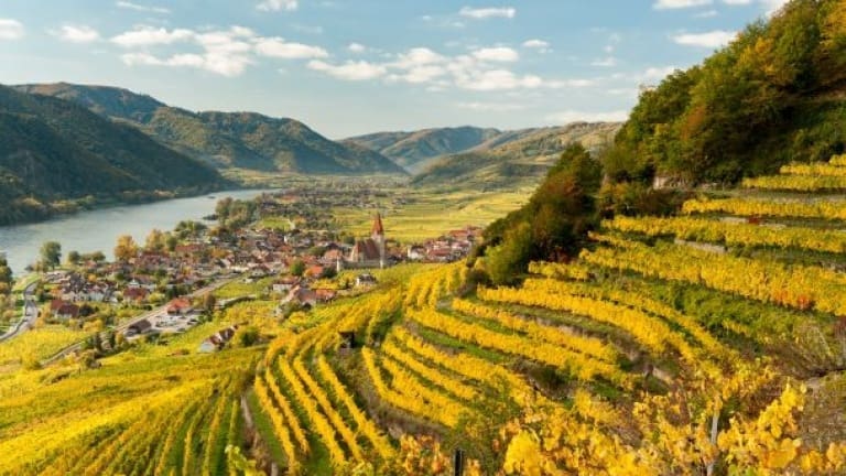 Wachau zona di produzione del vino bianco Grüner Veltliner, Austria