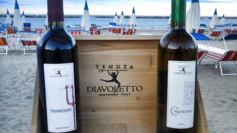 Vendita on line dei vini della Tenuta Diavoletta. Sconti, offerte e promozioni