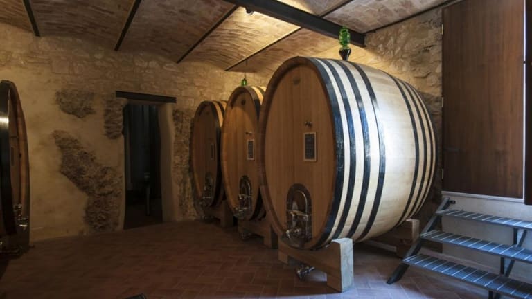 Tasting and sale of Montepulciano Abruzzo. Praesidium wines. Natural wines