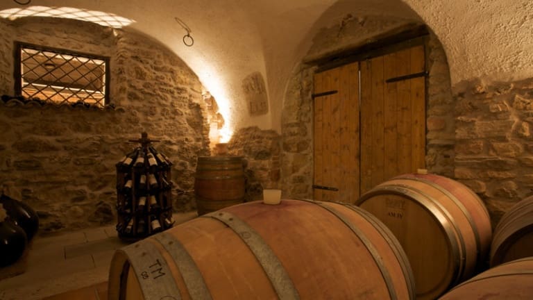 Degustazione e commento dei vini Cobelli, Gewurztraminer, Teroldego, Chardonnay