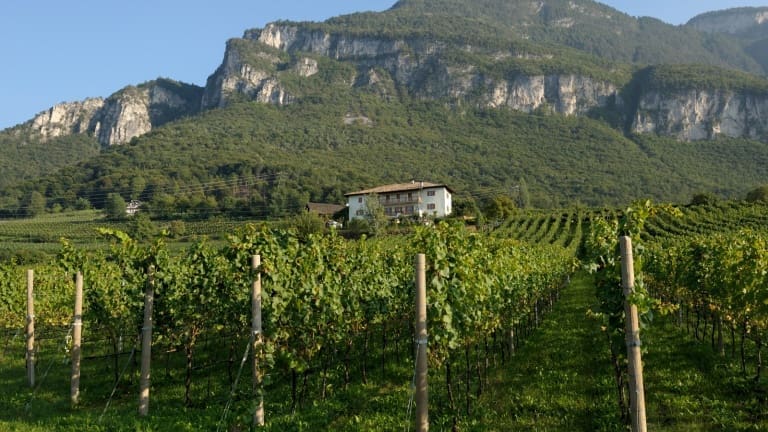 Scheda analitica, prezzi, info e valutazione dei vini della cantina Brunnenhof.