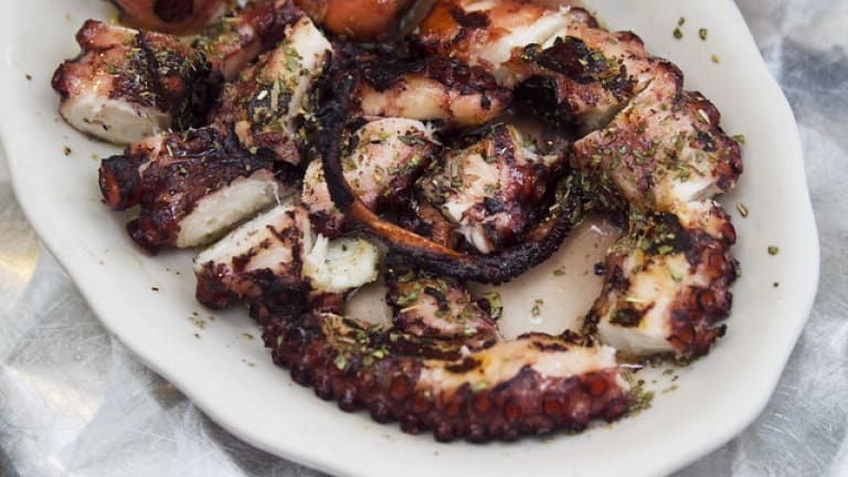 Grilled octopus which wine to pair with, Albariño sapid white wine