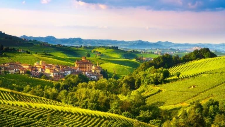Barolo, vigneti di Nebbiolo, guida ai migliori vini rossi del Piemonte