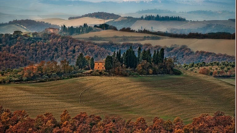 Tuscany countryside colors, fall foliage leaves and colors. moorland red trees