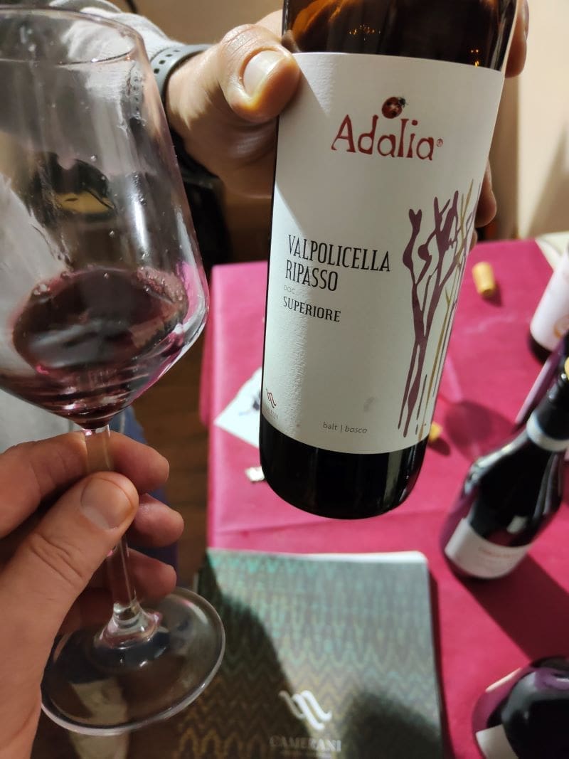 2018 Valpolicella Ripasso Superiore Balt Adalia: a fruity and easy to drink red wine