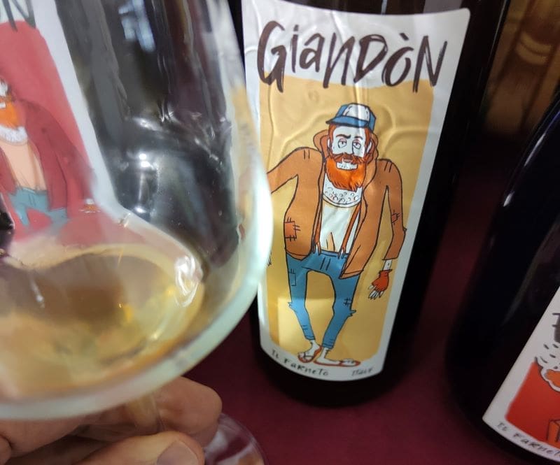Giandon Il Farneto: a splendid Emilian orange wine for all lovers of artisanal wines