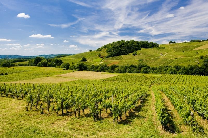 Jura Wines: A Guide to the Region's Appellations d'Origine Contrôlée (AOCs) and Unique Flavors