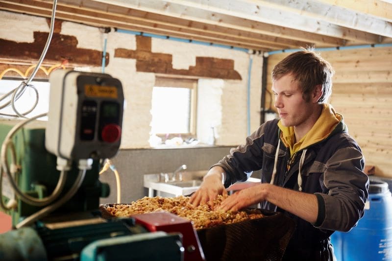 How is made cide, a man processing cider apples in a commercial cider press in